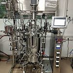 In-Situ Sterilizable Fermenter & Bioreactor Pilot Scale
