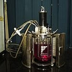 Photobioreactor