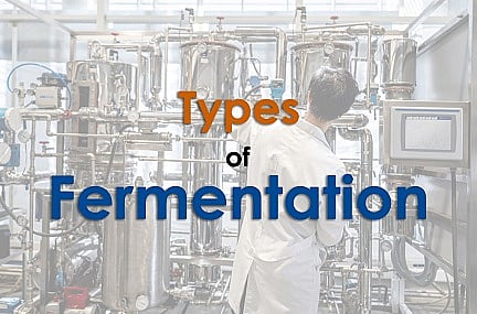 types of fermenter