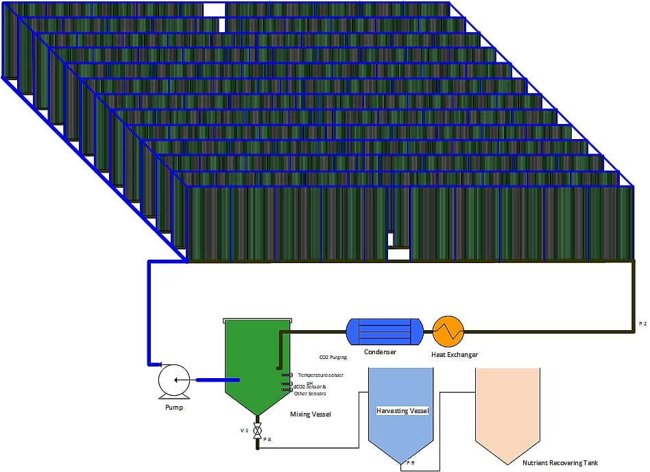 Photobioreactor industrial