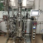 In-Situ Sterilizable Fermenter & Bioreactor Pilot Scale