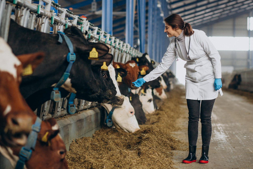 Exploring the World of Animal Feed Production